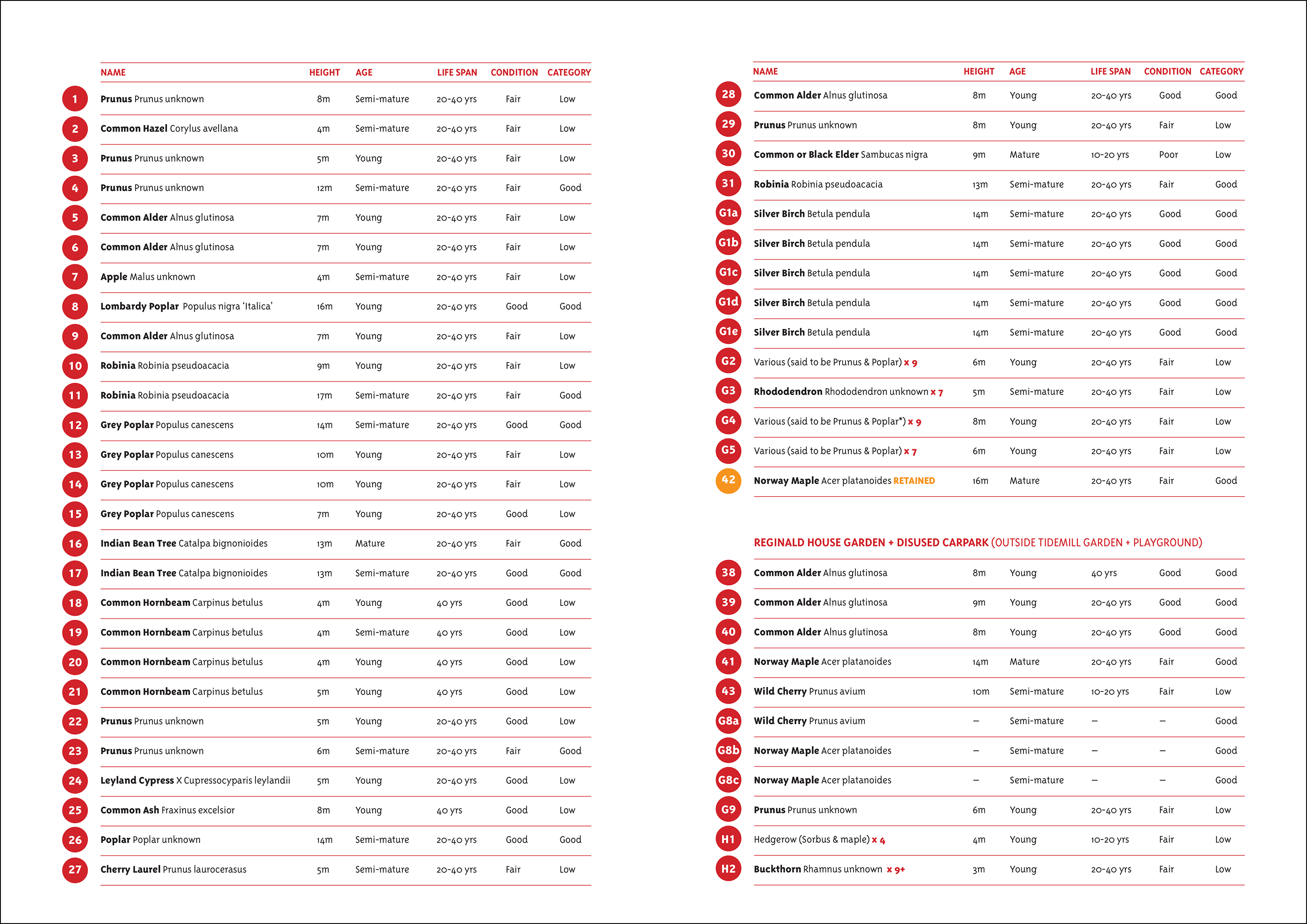 74 Tree demolition list A3-2